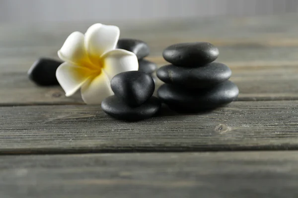 Plumeria blanca flor con guijarros —  Fotos de Stock