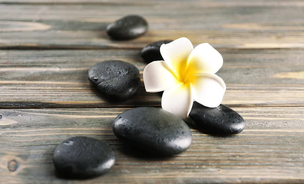 Plumeria blanca flor con guijarros —  Fotos de Stock