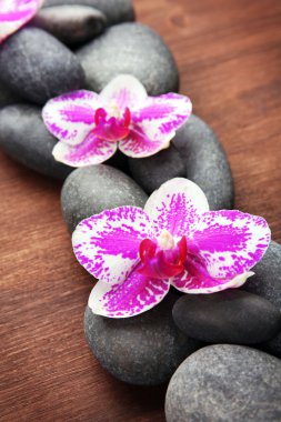 Spa taşlar ve orkide