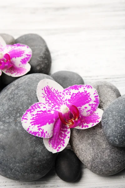 Piedras de spa y orquídeas —  Fotos de Stock