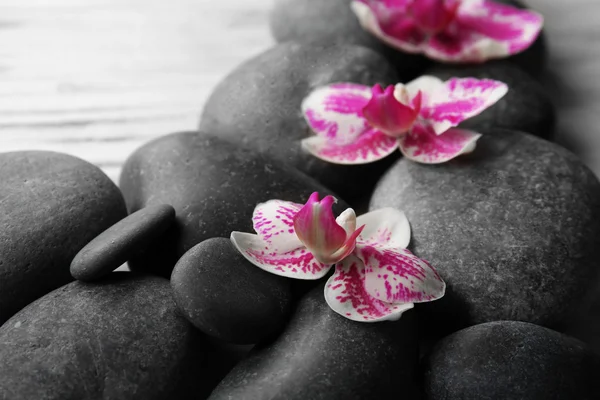 Spa stones and orchids — Stock Photo, Image