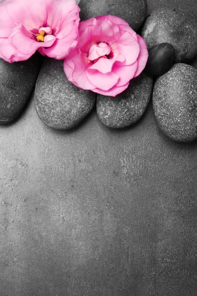 Spa stones and flowers — Stock Photo, Image