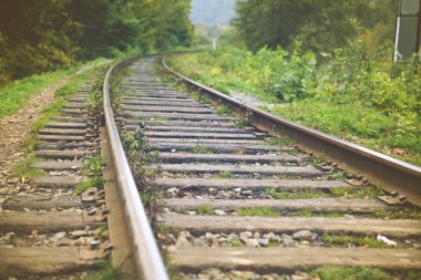 Demiryolu parça ve yeşil ağaçlar