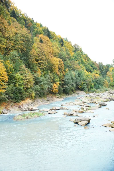 Río que fluye a través del bosque —  Fotos de Stock