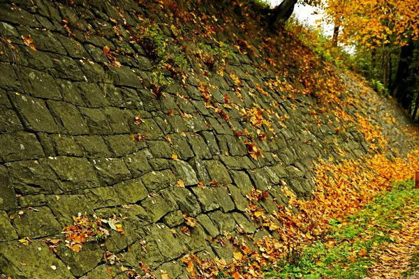 道路近くのセメント壁 — ストック写真