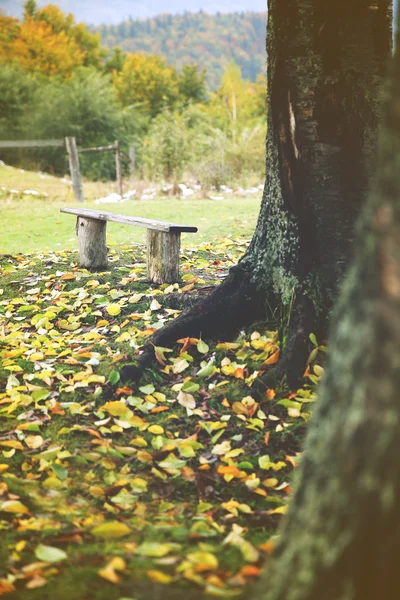 Dřevěná lavička v horách — Stock fotografie