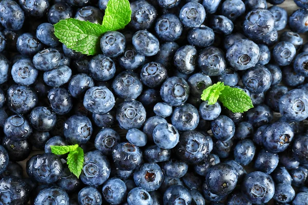 Reife Blaubeeren mit grünen Blättern — Stockfoto