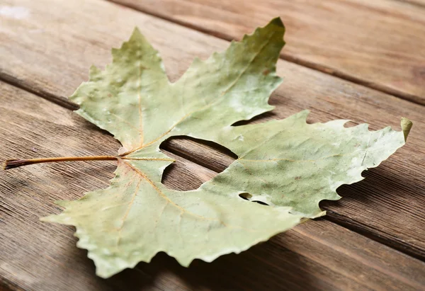 Αποξηραμένα φθινόπωρο φύλλα με καρδιά διακοπής — Φωτογραφία Αρχείου