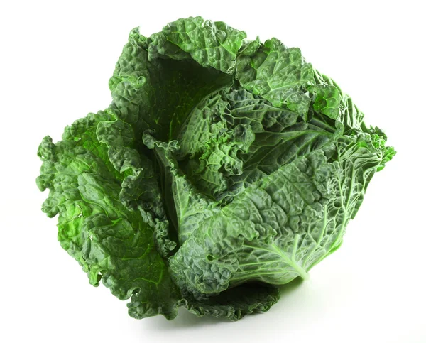 Fresh Savoy cabbage — Stock Photo, Image