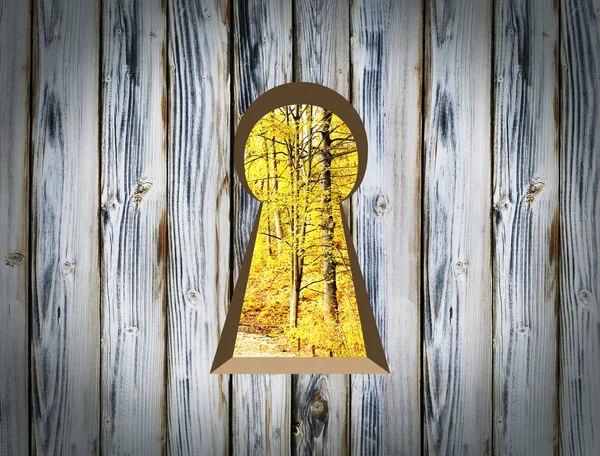 Schlüsselloch an Holzwand — Stockfoto