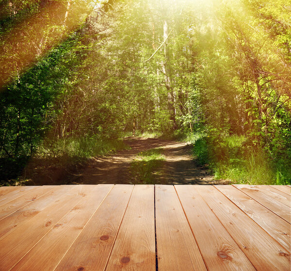 Sunlight in forest background