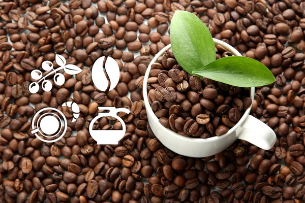 Icone del segno del caffè sui chicchi di caffè — Foto Stock