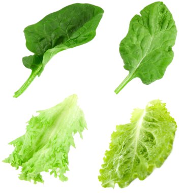 Aromatik bitkilerin yaprakları ile kolaj