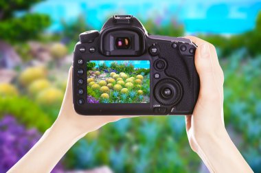 Fotoğrafçı ile iş yerinde fotoğraf makinesi 