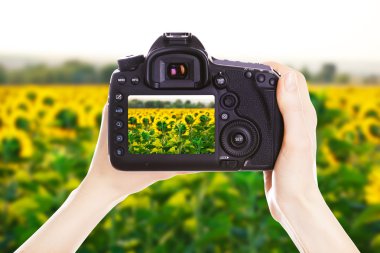 Fotoğrafçı ile iş yerinde fotoğraf makinesi 