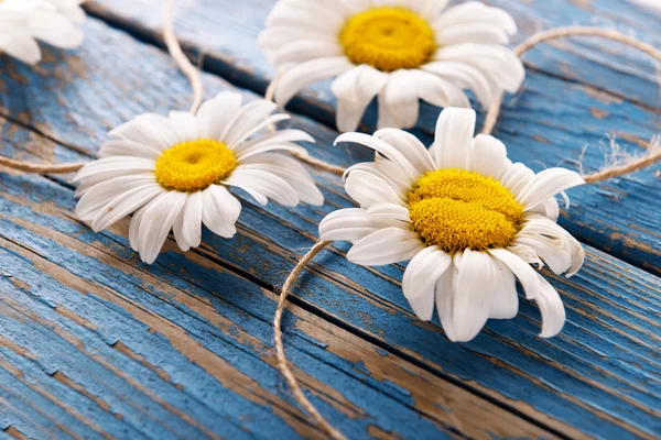 Fresh chamomile flowers on wooden table, closeup — Stock Photo, Image