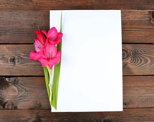 Tomma kort med vackra gladiolus på trä bakgrund — Stockfoto