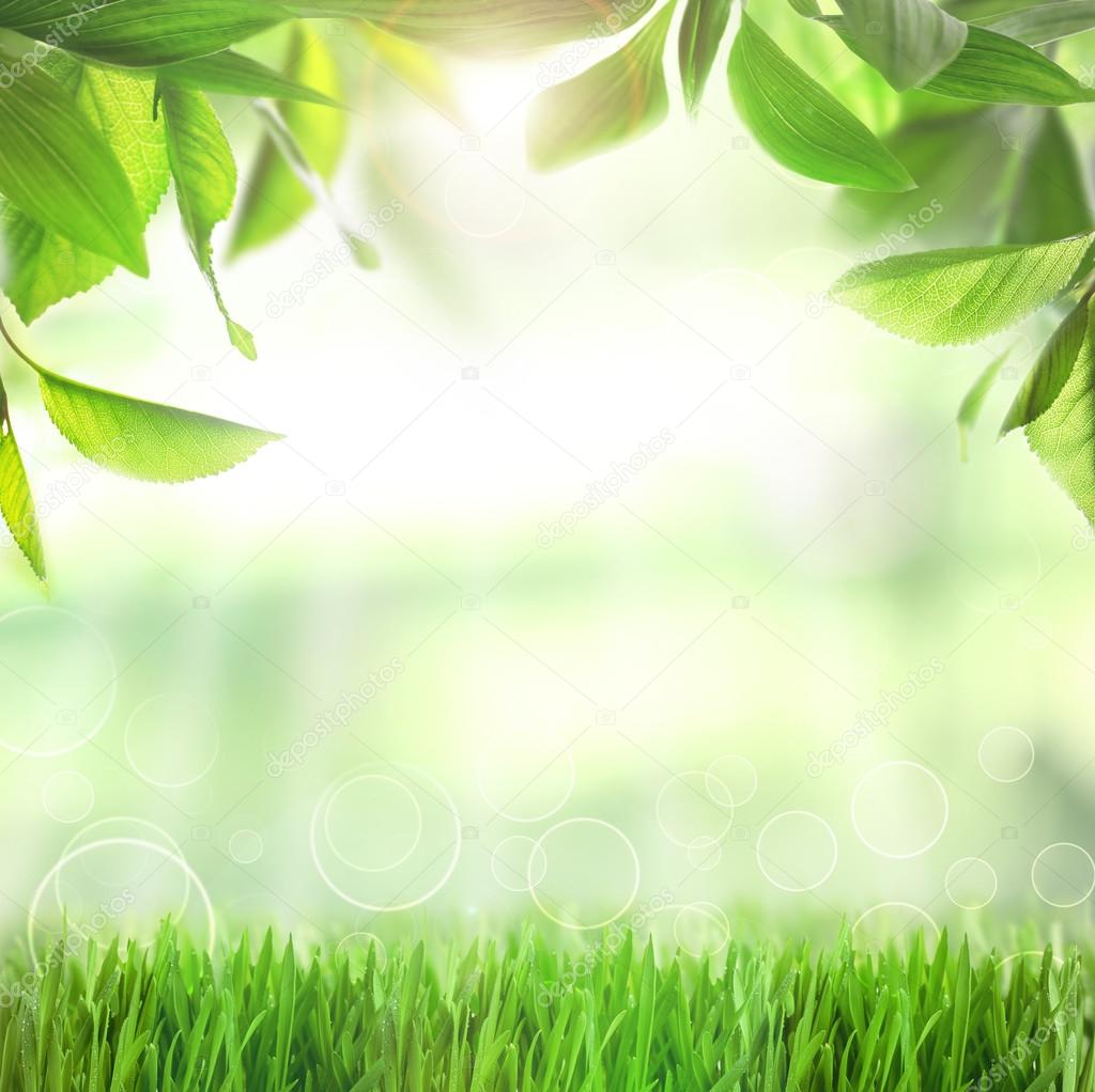 Spring or summer season abstract nature background with green grass and  leaves Stock Photo by ©belchonock 88835322