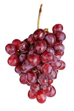 Beyaz üzerine izole edilmiş kırmızı üzüm.