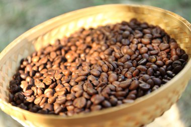 Gerdanlı sepet içinde kavrulmuş kahve çekirdekleri