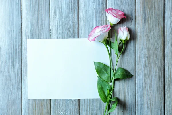白いシートとバラ色の花 — ストック写真