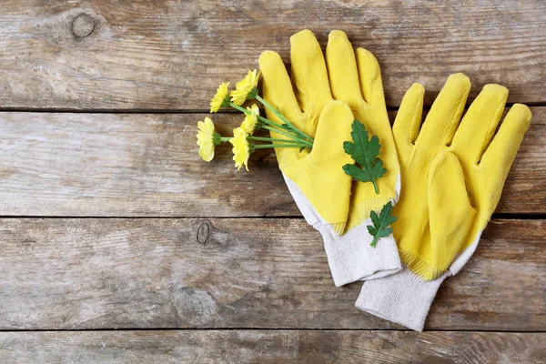 Amarelo luvas de jardim e flores — Fotografia de Stock