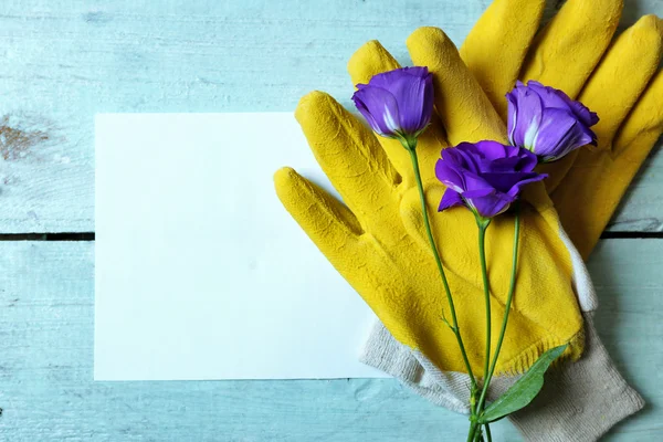 漂亮的开花和园丁的手套上淡蓝色木背景组成 — 图库照片