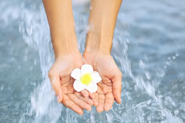 Mani femminili che tengono il fiore e toccano l'acqua — Foto Stock