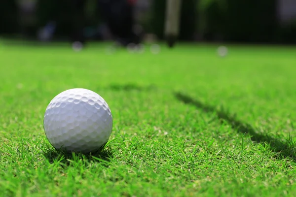 Golf ball on green golf course — Stock Photo, Image