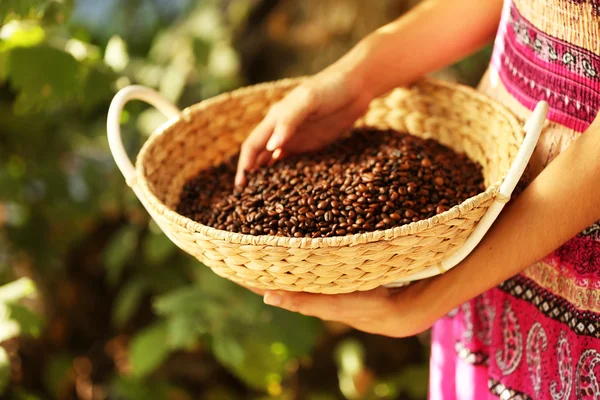 Hembra mano tocando granos de café en la cesta — Foto de Stock