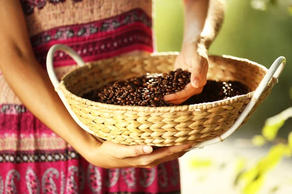 Basket with coffee beans in females hands — Stock Photo, Image