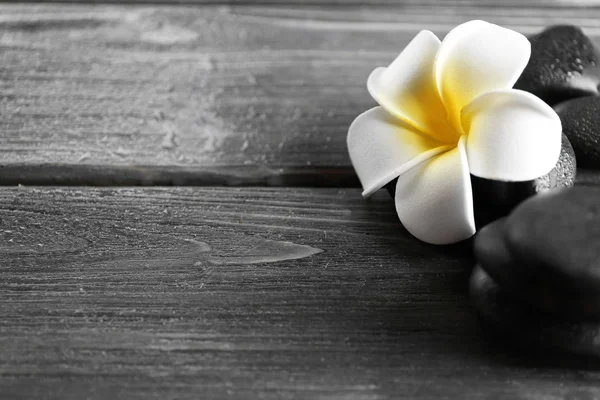 Çakıl ahşap arka plan üzerinde beyaz plumeria çiçek — Stok fotoğraf