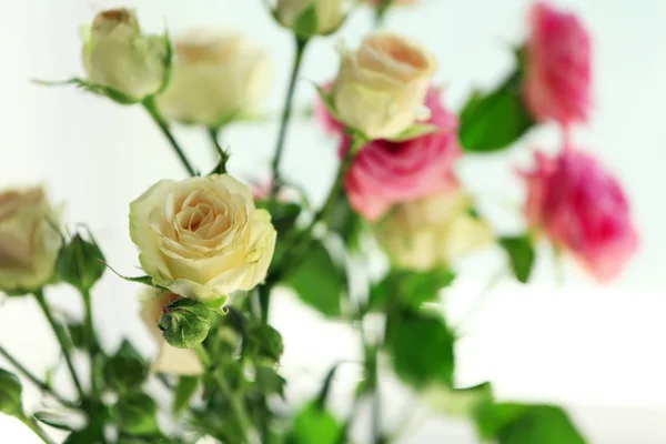 Beautiful spring flowers on soft window background close-up — Stock Photo, Image