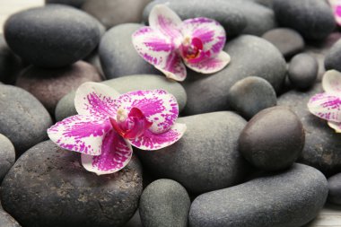 Spa taşlar ve orkide