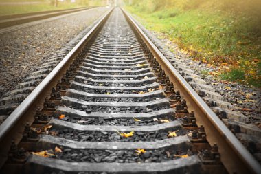 Demiryolu yeşil ağaçlar arka plan üzerinde izlemek