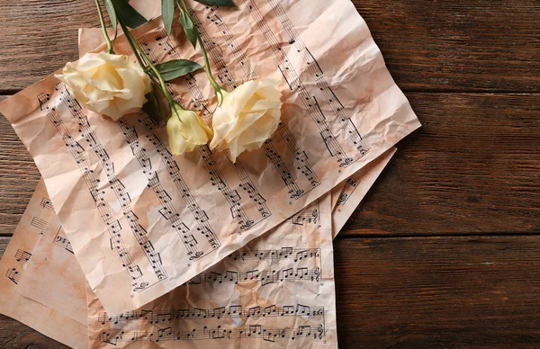 Όμορφα λευκά τριαντάφυλλα σε μουσικές νότες φόντο σελίδες — Φωτογραφία Αρχείου