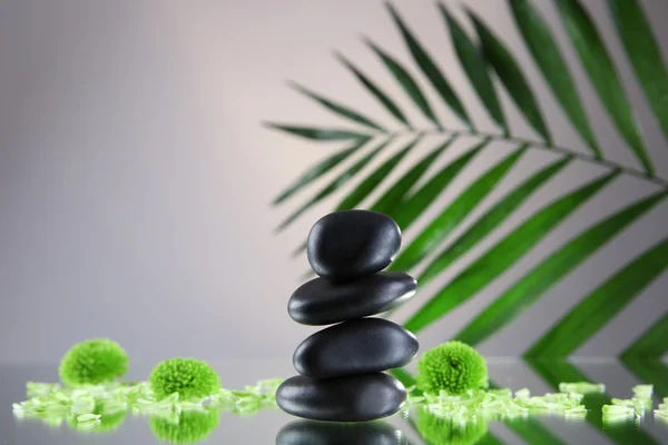 Spa stones and green palm branch  on grey background — Stock Photo, Image