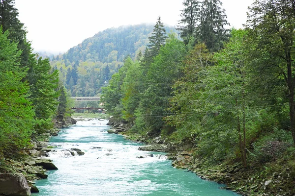 Górska rzeka przepływająca przez las — Zdjęcie stockowe