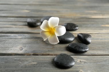 Çakıl taşları ile beyaz plumeria çiçek