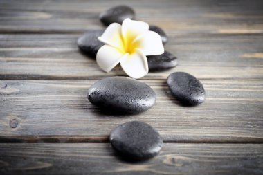 Çakıl taşları ile beyaz plumeria çiçek