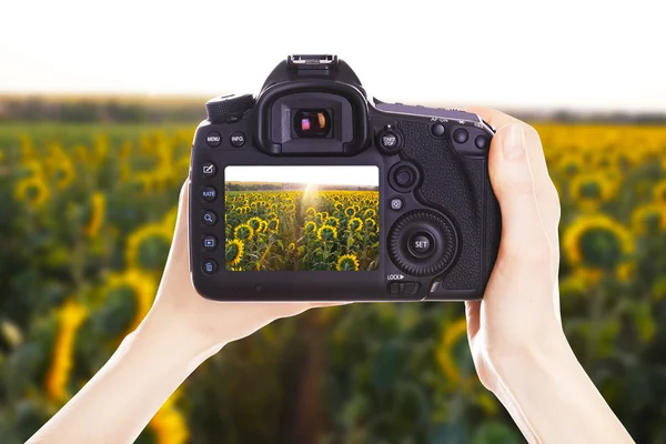 Fotógrafo con cámara en el trabajo —  Fotos de Stock