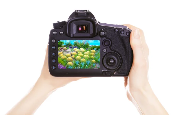 Photographer with camera at work — Stock Photo, Image