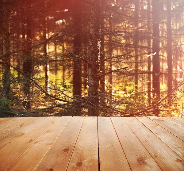 Сонячне світло в осінньому лісі — стокове фото