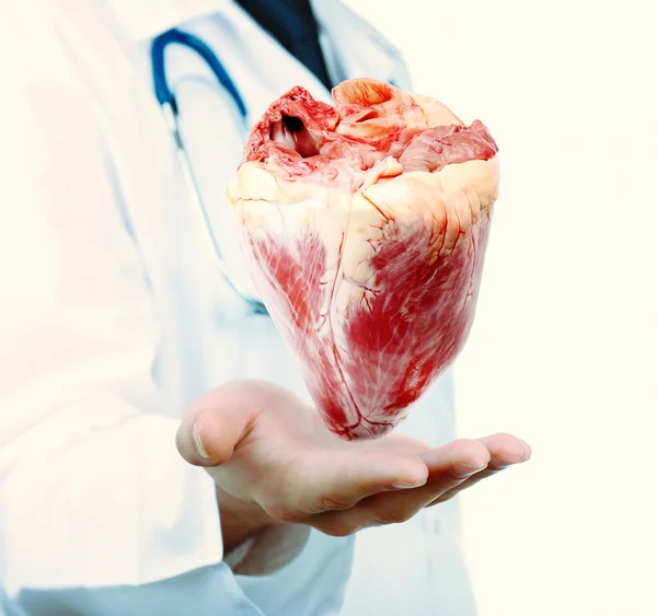 Médico con el corazón en las manos . —  Fotos de Stock