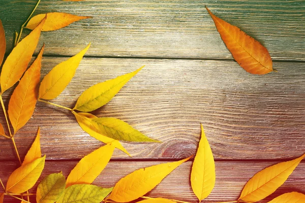 Autumn leaves background — Stock Photo, Image