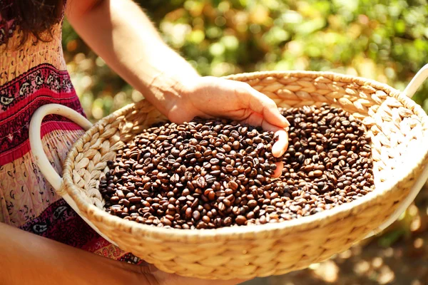Basket with coffee bean — Stock Photo, Image