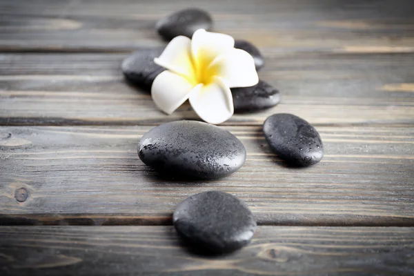 White plumeria flower with pebbles — Stock Photo, Image