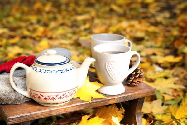 Podzimní kompozici s horký nápoj na pozadí přírody — Stock fotografie