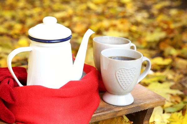 Autumn composition with hot beverage on nature background — Stock Photo, Image