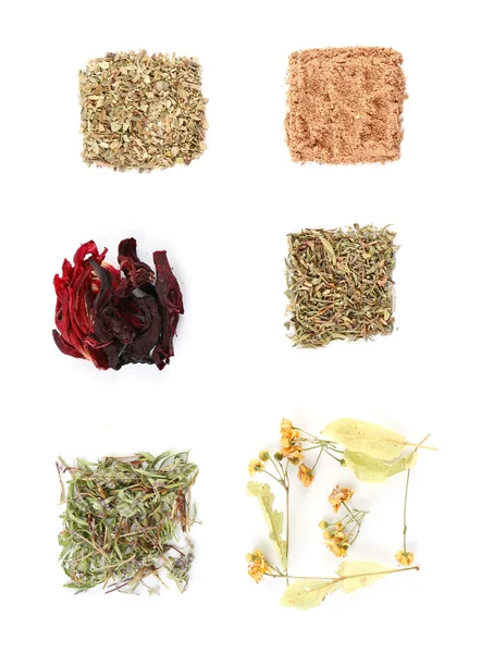 Various kinds of herbal tea and herbs isolated on white — Stock Photo, Image